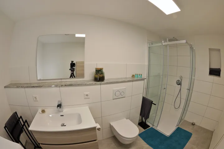 Bathroom with washbasin, mirror and shower cabin